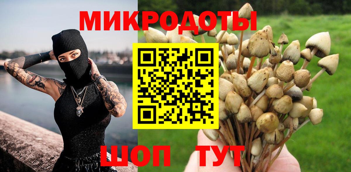 Псилоцибиновые грибы прущие грибы Кушва